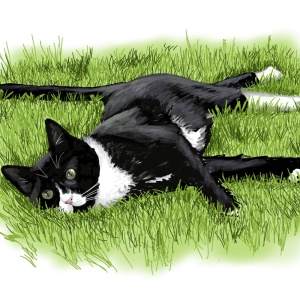 Grass Cat